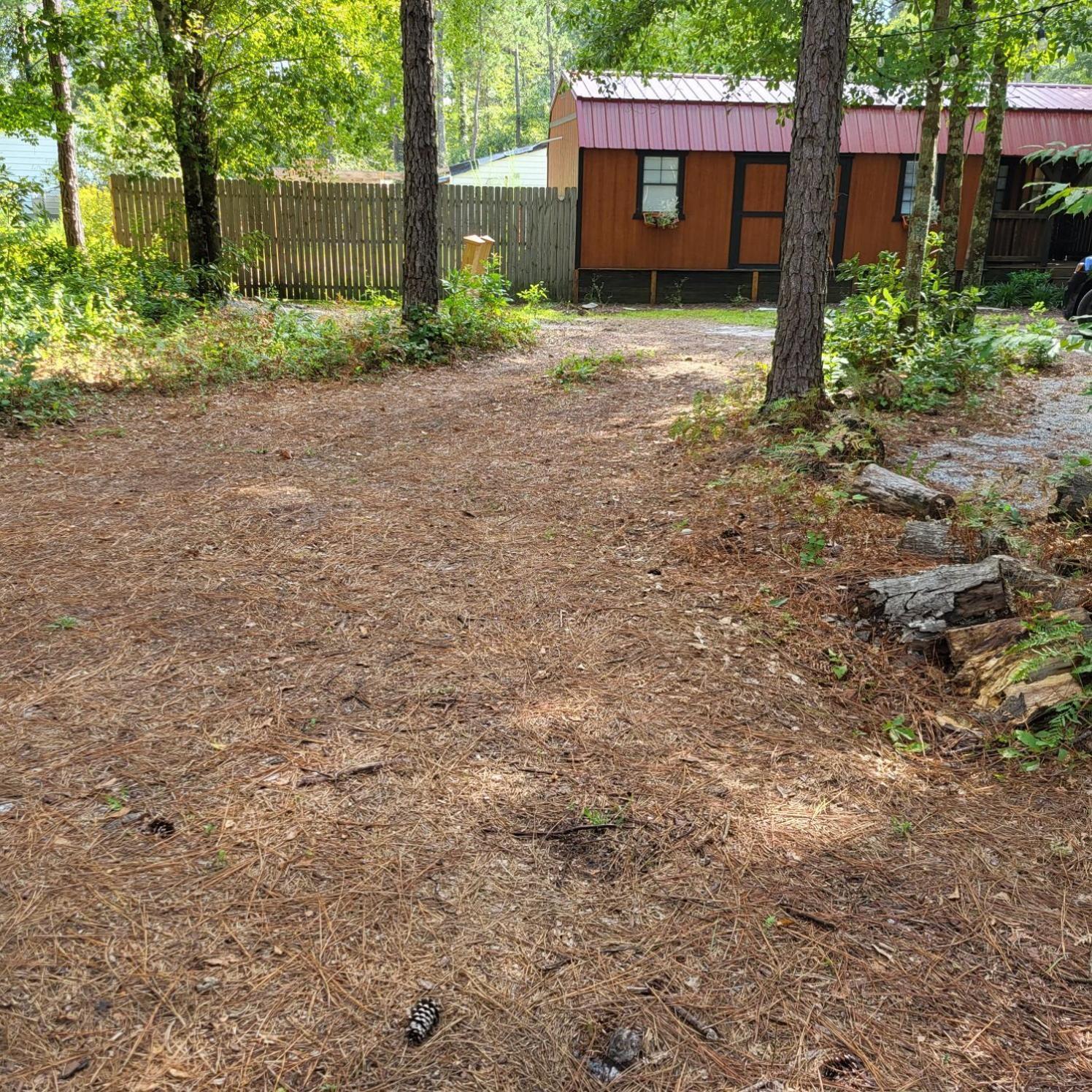 Fern Gully Cabin Conway Luaran gambar